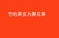 ĹʵΪۻ